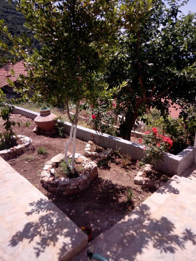 Dimitra's Garden Villa Kallirákhi Exterior foto
